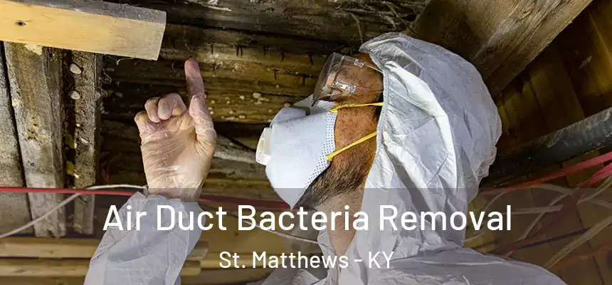 Air Duct Bacteria Removal St. Matthews - KY
