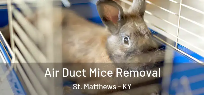  Air Duct Mice Removal St. Matthews - KY