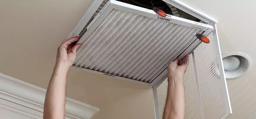 Preventive Cockroach-Proofing for Ducts in St. Matthews