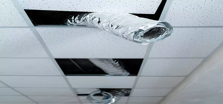 Affordable HVAC Sanitizing After Pest Removal in St. Matthews