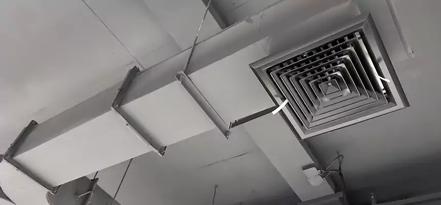 Restorative Allergy Relief Vent Cleaning – Coil, Blower & Housing Detail in St. Matthews