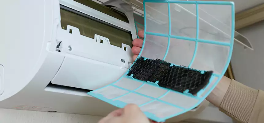 Gentle Ductwork Odor-Control Pet Dander Duct Cleaning in St. Matthews, KY