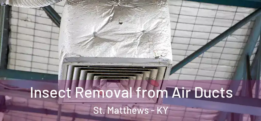  Insect Removal from Air Ducts St. Matthews - KY