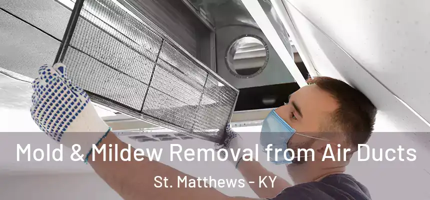  Mold & Mildew Removal from Air Ducts St. Matthews - KY