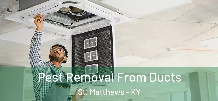  Pest Removal From Ducts St. Matthews - KY