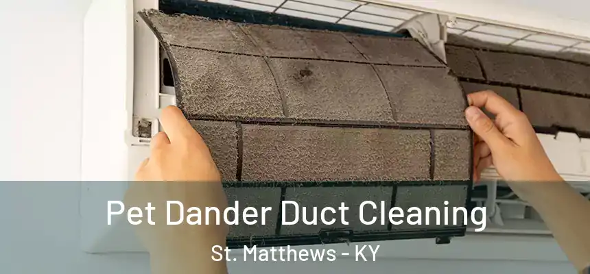  Pet Dander Duct Cleaning St. Matthews - KY