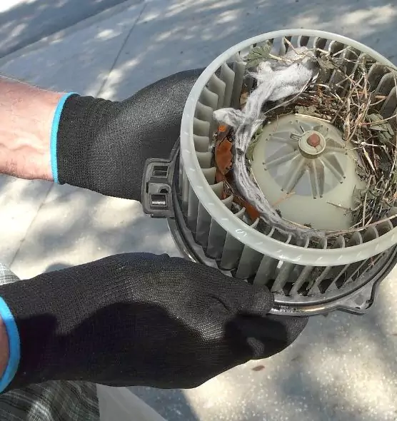 About Air Duct Mice Removal in St. Matthews, KY