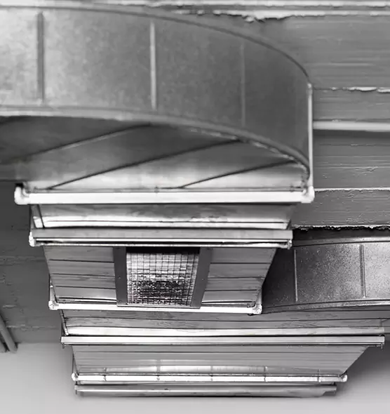 Professional Air Duct Pest Removal in St. Matthews, KY