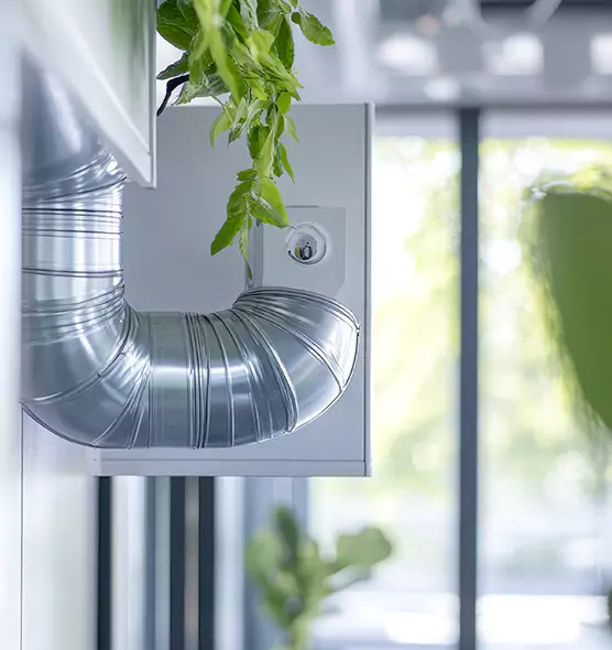 Professional Eco-Safe Dryer Vent Cleaning in St. Matthews, KY