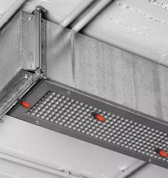 Affordable Insect Removal from Air Ducts in St. Matthews, KY