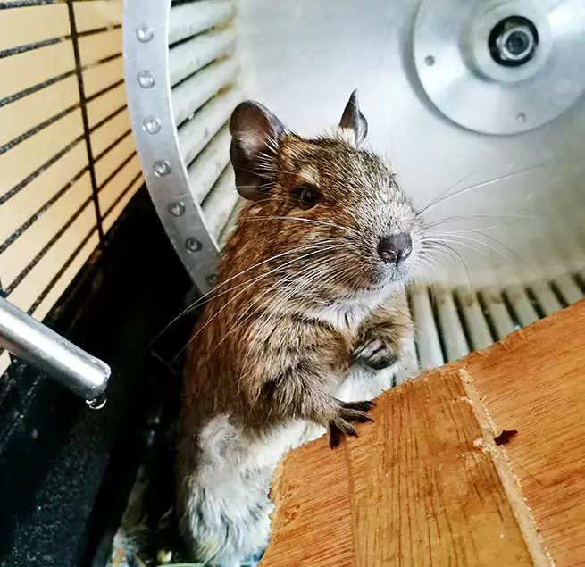 Why Homeowners & Businesses Trust Us St. Matthews, KY