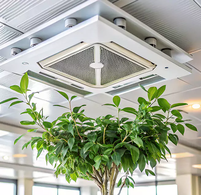 Why Homeowners & Businesses Trust Us in St. Matthews, KY