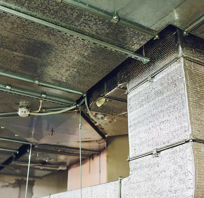 Why Homeowners & Businesses Trust Us in St. Matthews, KY?